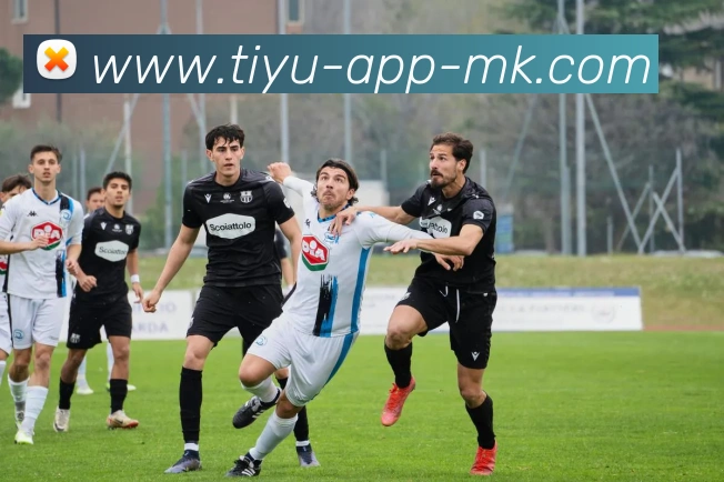 MK体育APP 高清赛事图