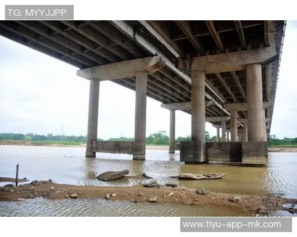 记者透露河床对迈阿密引援目标穆拉展开谈判引发关注